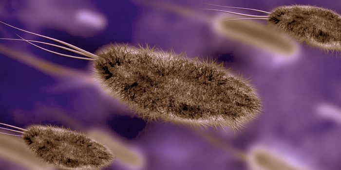 Small Differences Enable Some Microbes To Persist in the Gut