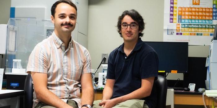 Unlocking Earth's Hidden Carbon Vault: Investigating Soil's Role in Carbon Storage