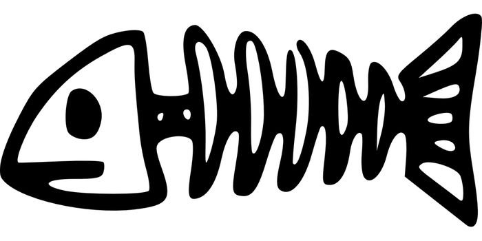 New fossil fish moves evolution of jaws back 14 million years