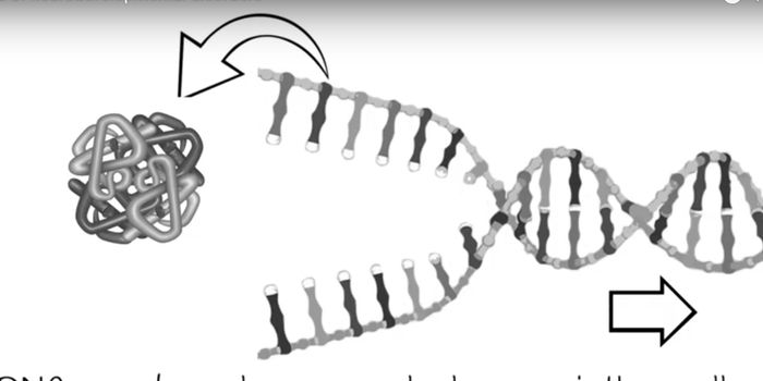 Insight Into a Common Mechanism Underlying Some Neurodevelopmental Disorders