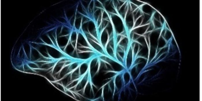 Immune Checkpoint Inhibitor Demonstrates Significant Glioblastoma Regression