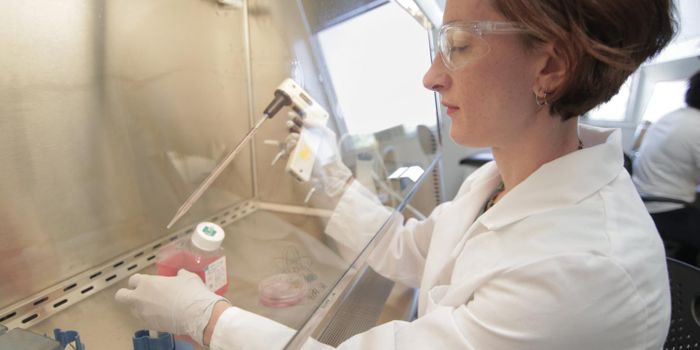 What Causes Arteries to Become Narrow and Weak?