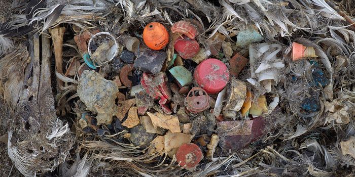 South Atlantic islands pummeled by plastic waste
