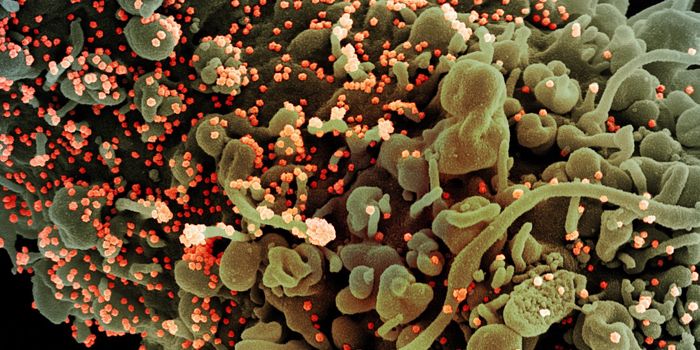 WHO Data Suggests Remdesivir Has No Effect on COVID-19 Infections