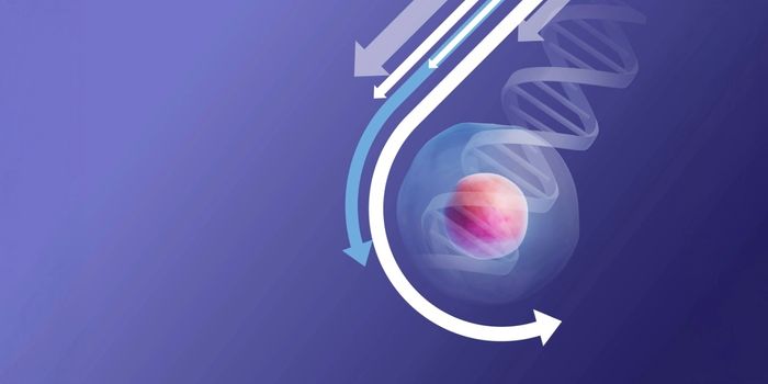 On-demand talks: Trends in preimplantation genetic testing