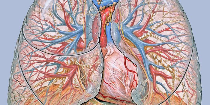 Beta Blockers Treat Debilitating Lung Disease