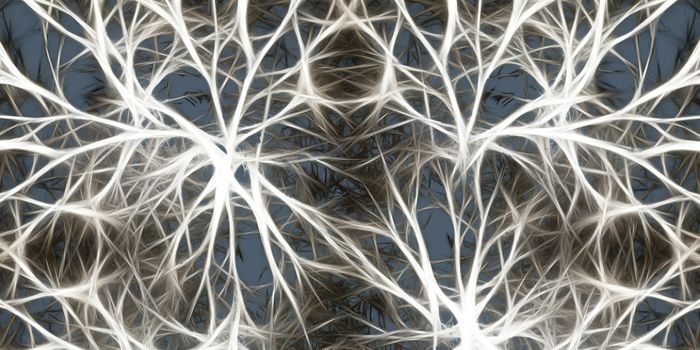 New Insights Into Huntington's Disease