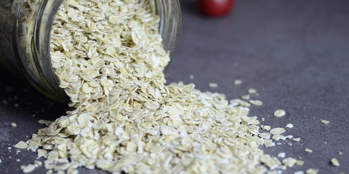 Just Two Days of Oatmeal Reduces Cholesterol Levels