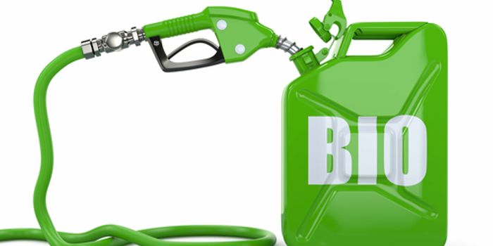 New Microbe - Good for Biofuels?