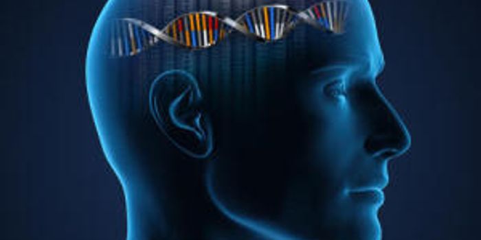 Is There a Genetic Component to Facial Recognition Skills?