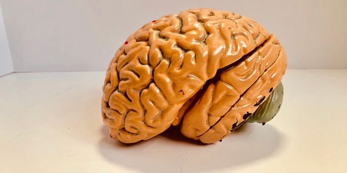 Potential Therapy for Alzheimer Disease