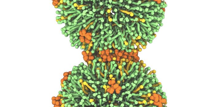 The Mechanism of a Cell-penetrating Peptide is Revealed