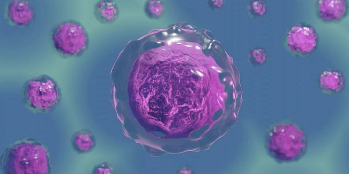 Mapping the Human Proteome