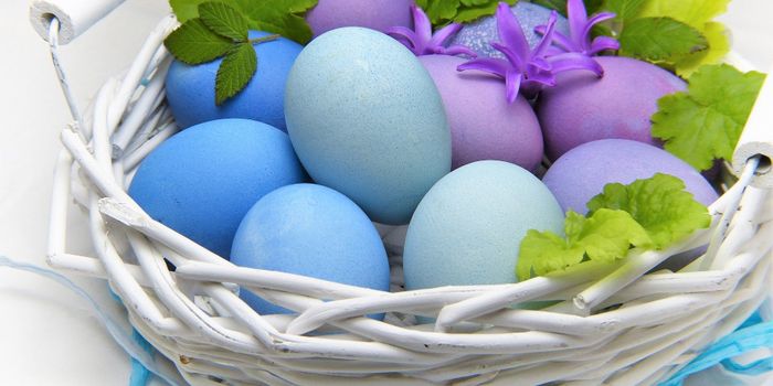 Do Your Easter Eggs Impact Cancer Risk?