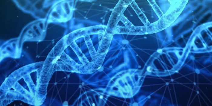 Genes That Cause Disease Seem to Prevent Beneficial Adaptations