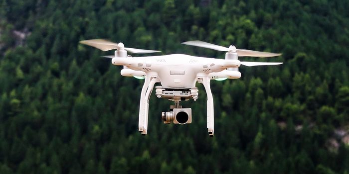 Can Wildlife Habituate to Increased Drone Activity?