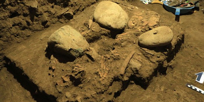 Archaeological Site Reveals DNA Belonging to an Ancient Human Relative