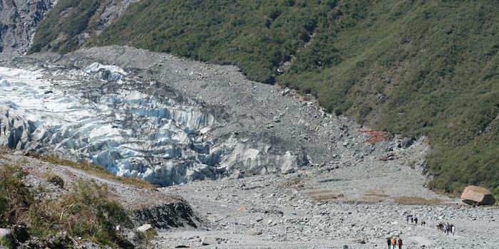 Scientists Urge Study of Bacteria in Melting Glaciers