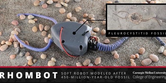 Softbotics and the Past: Engineering the Movement of 450-Million-Year-Old Organisms
