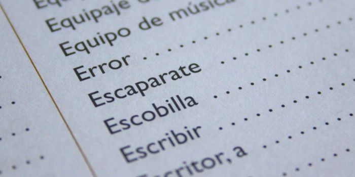 Motor Cortex Involved in Vocabulary Learning