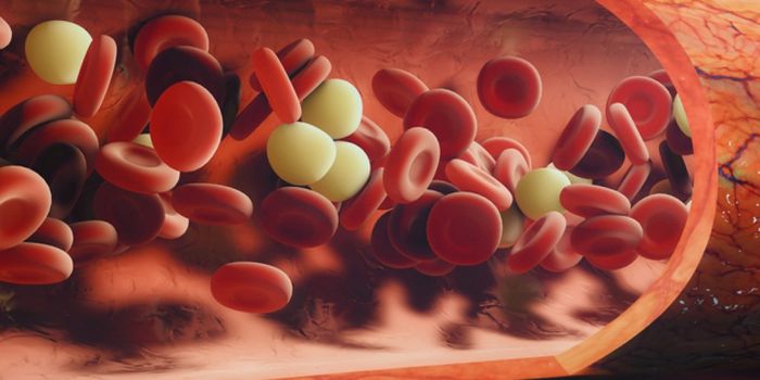 Monocytes in the Blood Could Be Stopping Lung Metastasis