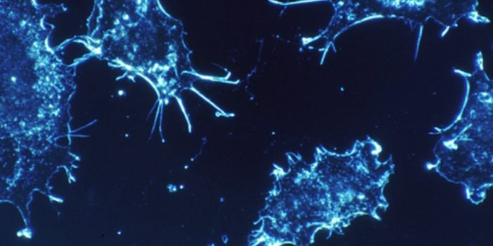 A Light Switch for Turning Proteins On & Off