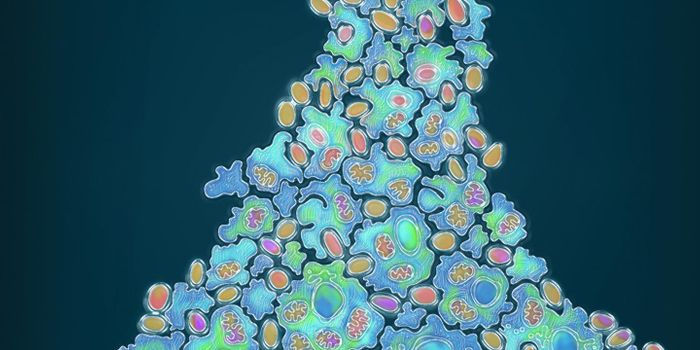 Marvel Microbes Reveal Archaea Origins of Eukaryotes