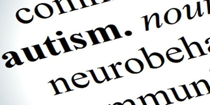 Neurotransmitter Path Could Be The Key To Autism