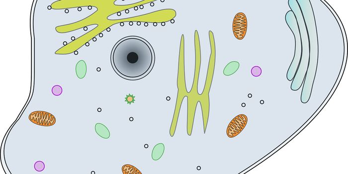 Artificial cilia could someday power diagnostic devices