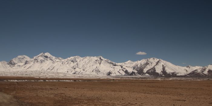 Researchers Discover 15,000-Year-Old Viruses in Glacial Ice