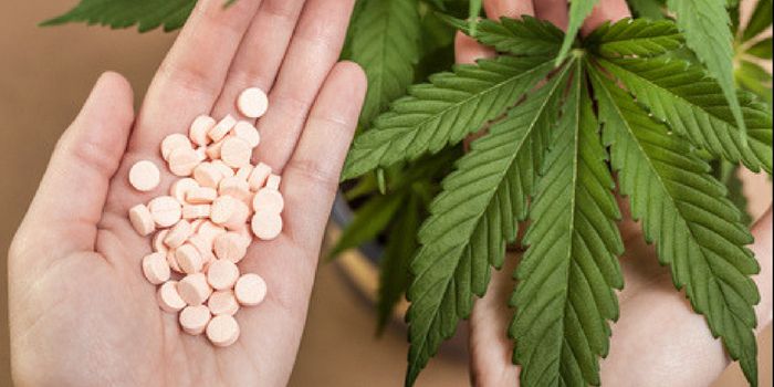 Medical Marijuana Approved to Replace Opioid Prescriptions in New York State