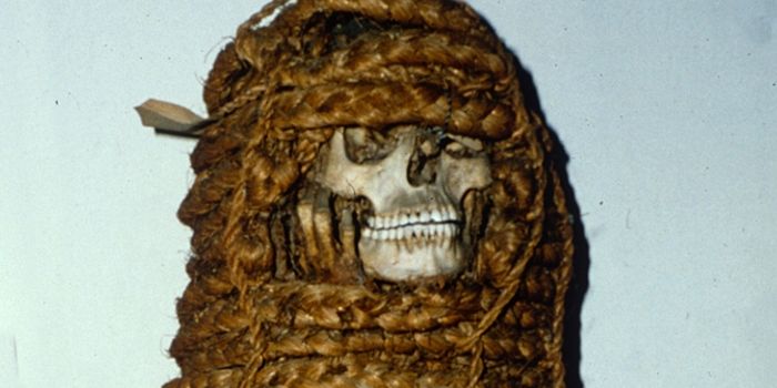 A Mummy and Her Microbes