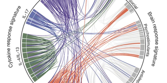 Link Between Social Behavior and Immune System is Discovered