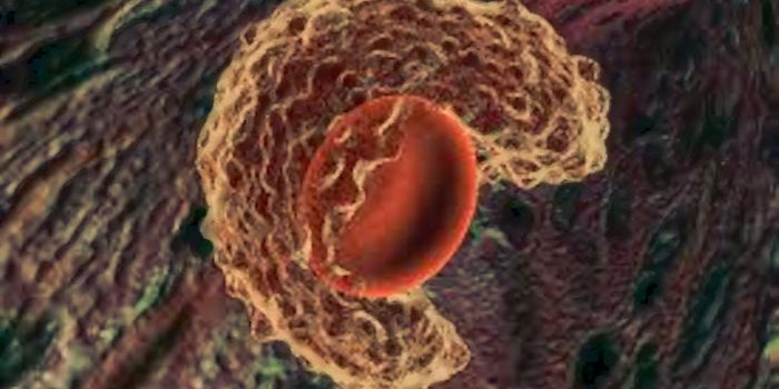 Personalizing Breast Cancer Treatments by Targeting Specific Proteins