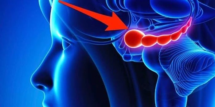 The Brain Knows When You Stop Working Out