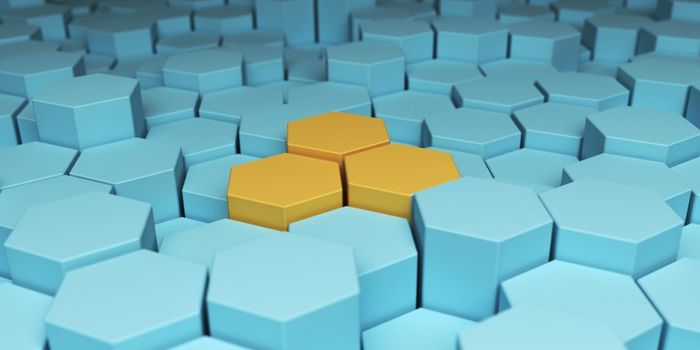 New Insights Into How to Treat a Common Form of Muscular Dystrophy