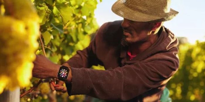 Calor App Protects Farmworkers in the Heat