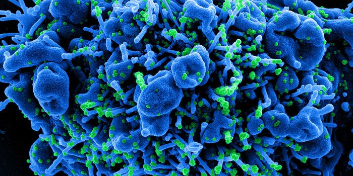 Organoids Provide Multiple New Insights Into COVID-19