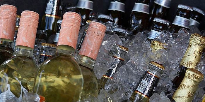 Understanding Yeast Evolution to Create Better Beer and Wine