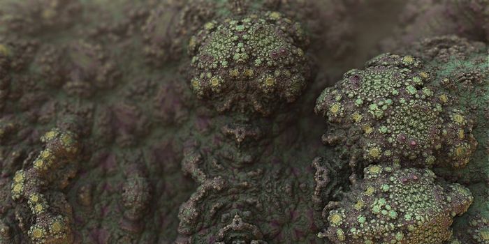 CBD Shows Promise in Treating Deadly Fungal Infection