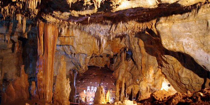 Neanderthal Ancestors? 55,000-Year-Old Skull Fragment Discovered in Northern Israel