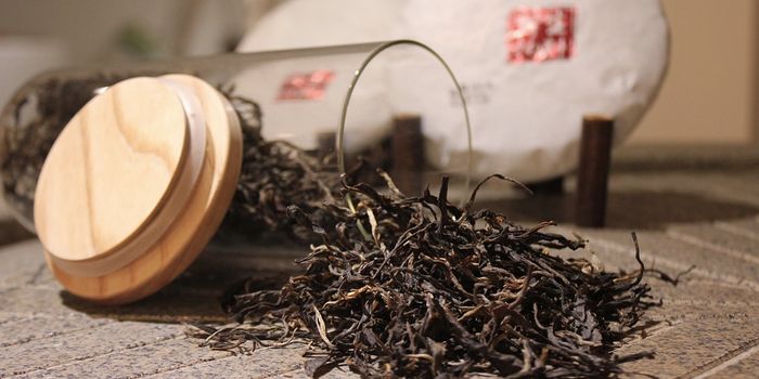 With Flavonoids, Microbes can Provide Protection Against Flu