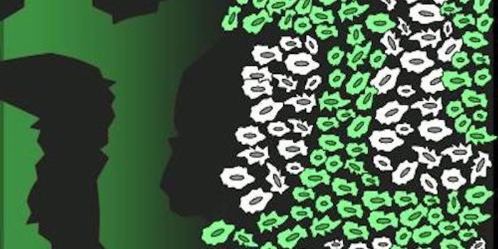 Are Patterns in Biology Governed by a Turing Theory?