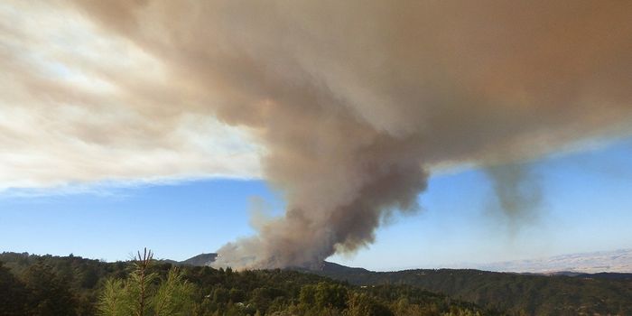 An Estimated 38 Million People were Exposed to Polluted Wildfire Smoke