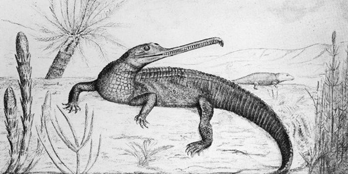 New Climatic Data from China Sheds Light on the Emergence of the Dinosaurs