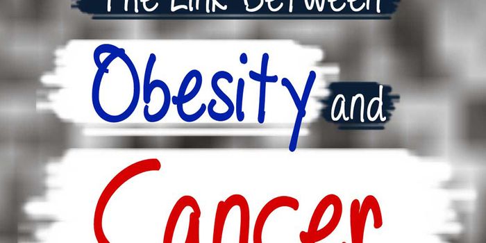 Researchers find that obesity has a paradoxical effect on Cancer