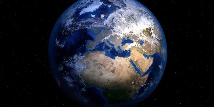 Biodiversity Loss, Pollution, Climate Change Drive Infectious Disease