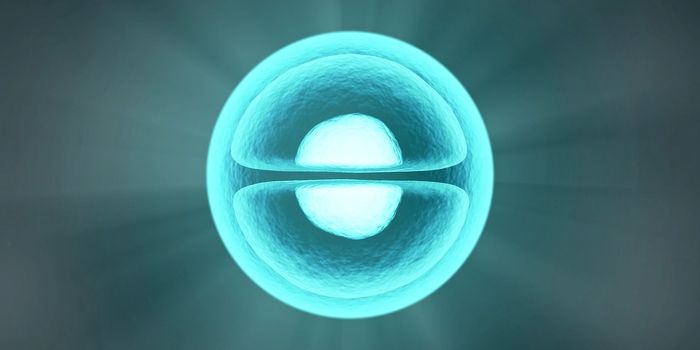 Stem Cell Derived Natural Killer T Cells as Novel and Long-term Cancer Treatment