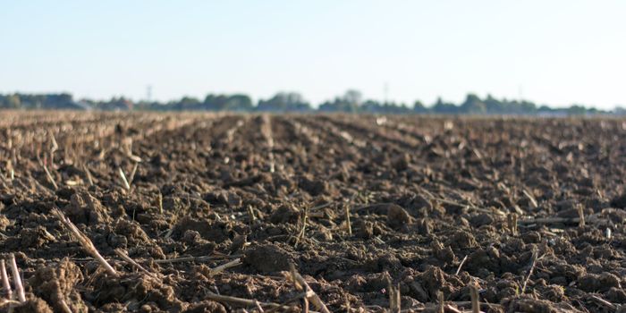 For the soil, for us all!