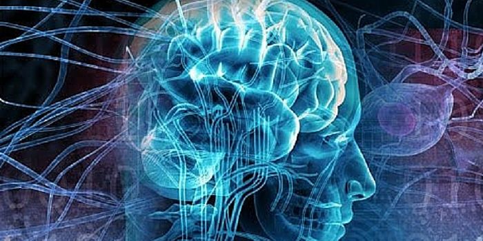 New Laser Surgery Approved for Epilepsy